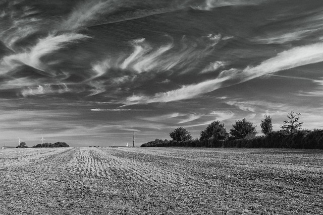 Feld, Wolken, Landschaft, Himmel, Natur