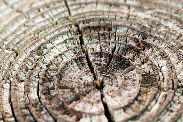 Free Texture Pattern photo and picture