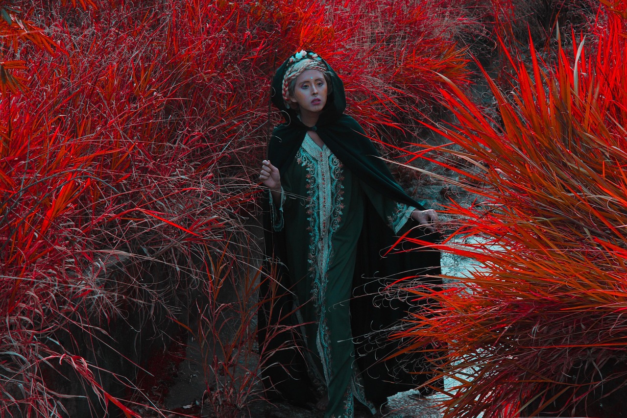 10,000+ Free Fairy Queen & Queen Images - Pixabay