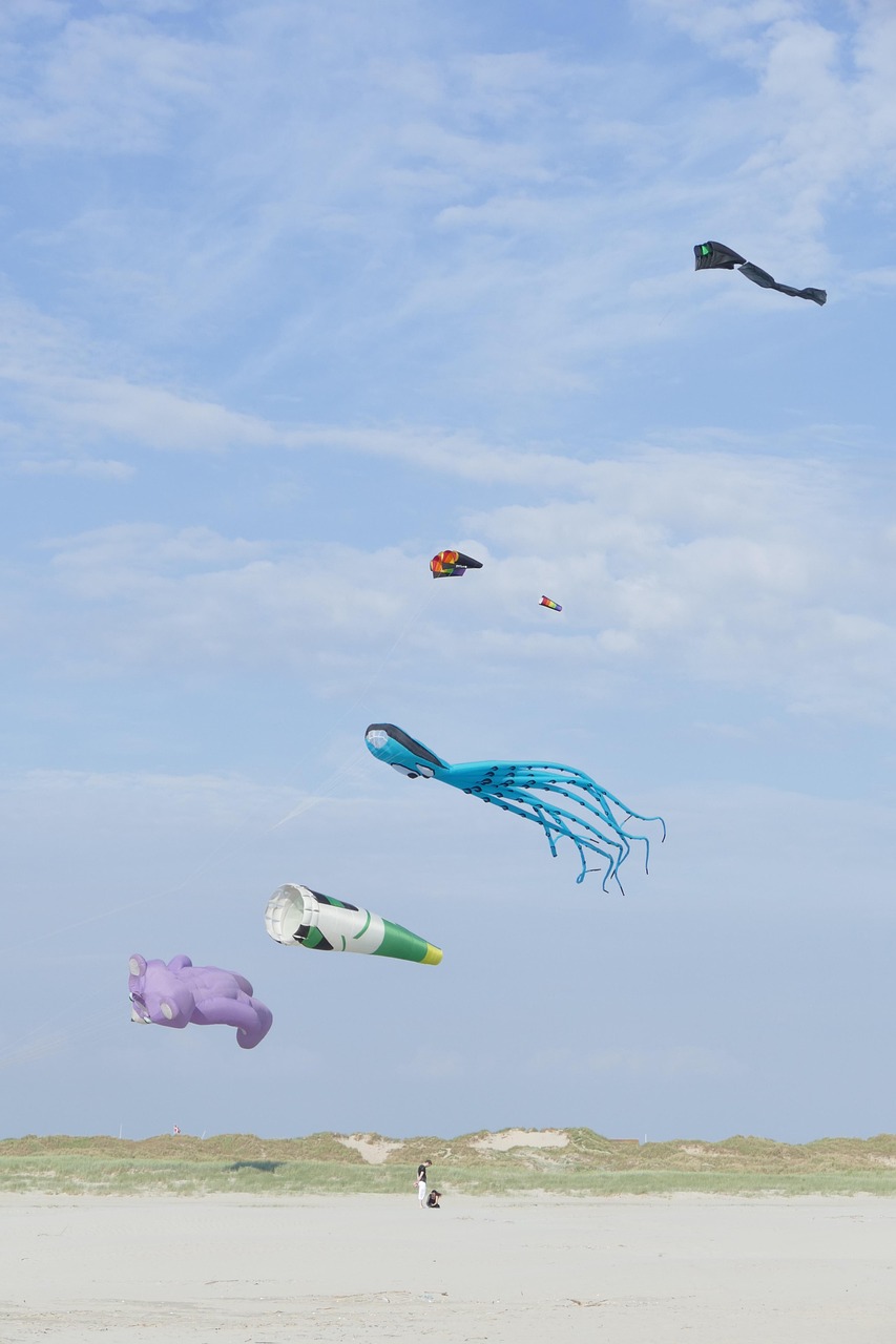 Kite Festival Denmark Free photo on Pixabay Pixabay