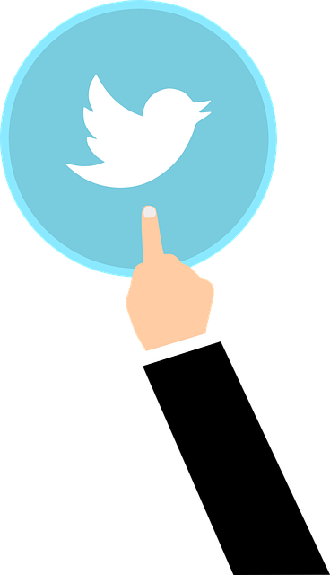 Abonnere, Twitter, Regnskap, Adresse