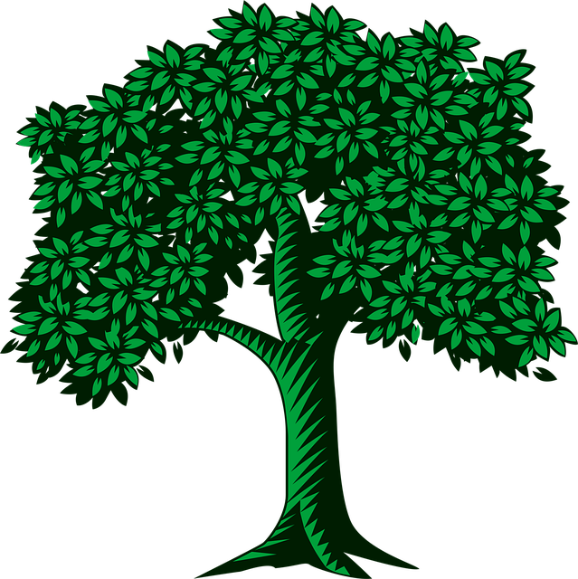 Free tree leaves green vector