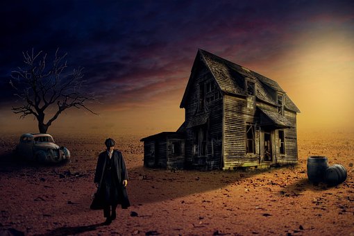 Free House Man photo and picture