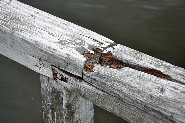 Free Wood Bar photo and picture