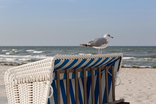Free Baltic Sea Beach Chair photo and picture