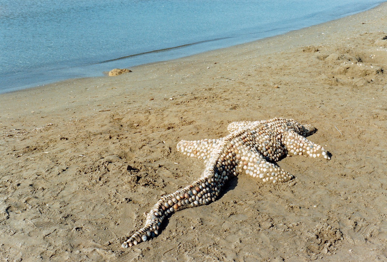 https://cdn.pixabay.com/photo/2018/08/14/12/07/sand-sculpture-3605409_1280.jpg