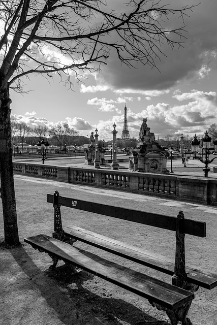 Place, concord, bench and paris — photo by BARBAUD