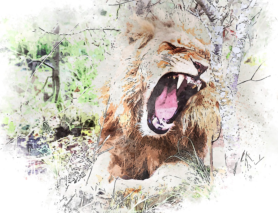 Download Lion Wild Roar Royalty Free Stock Illustration Image Pixabay