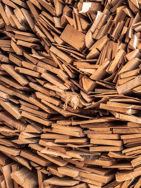 Free Wood Texture photo and picture