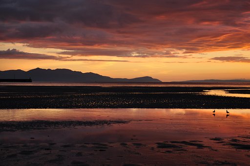 Free Reflection Beach photo and picture