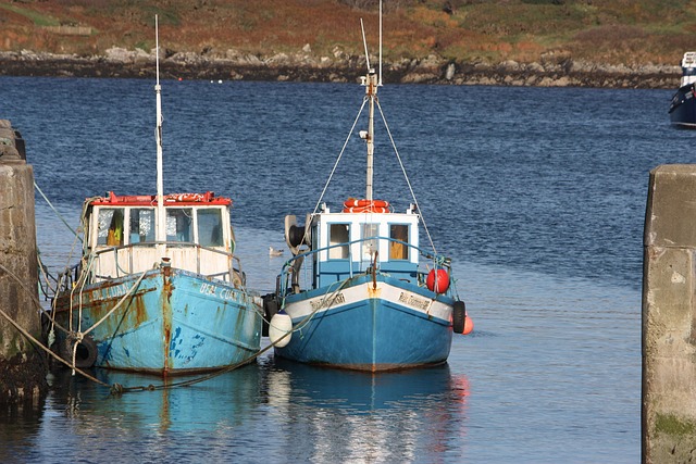 Free Boats Fishing photo and picture