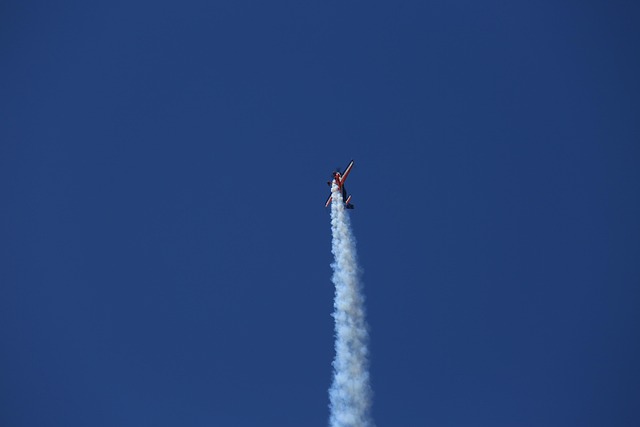 Free Plane Darling photo and picture