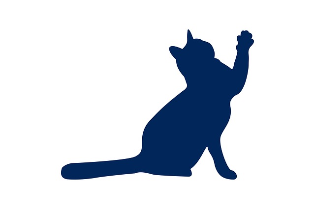 Free cat animal silhouette illustration