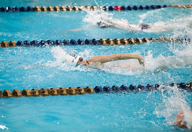Free Swimming Athlete photo and picture