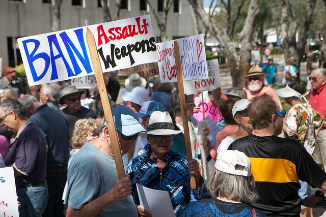 Free Ban Assault Weapons photo and picture