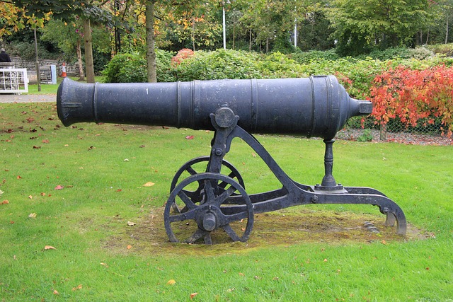 Free Cannon History photo and picture
