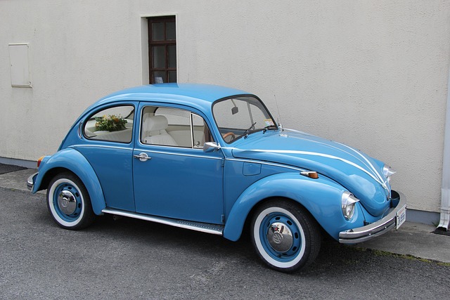 Free Vw Beetle photo and picture