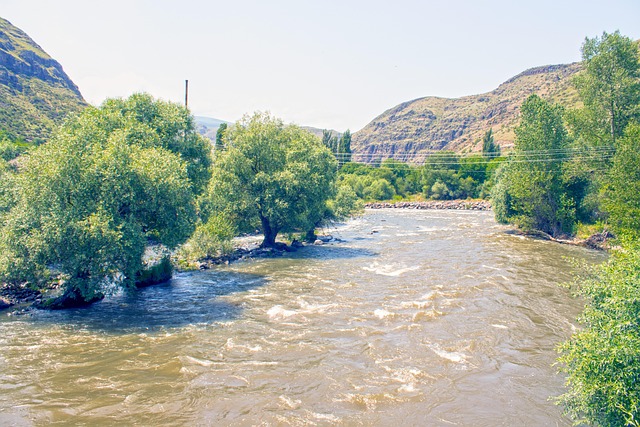 Free Georgia River photo and picture