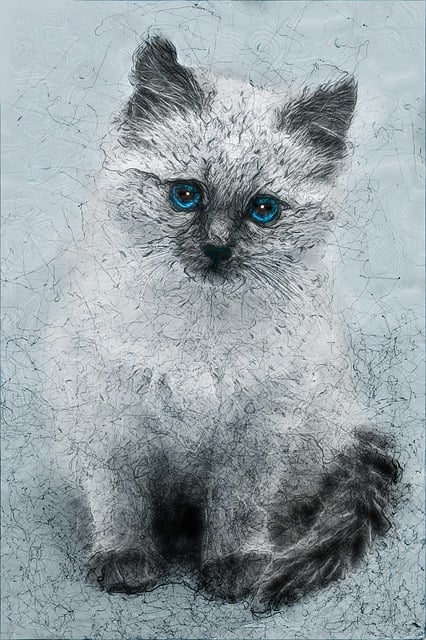 Котёнок, Рисунок, Графика, Искусство
