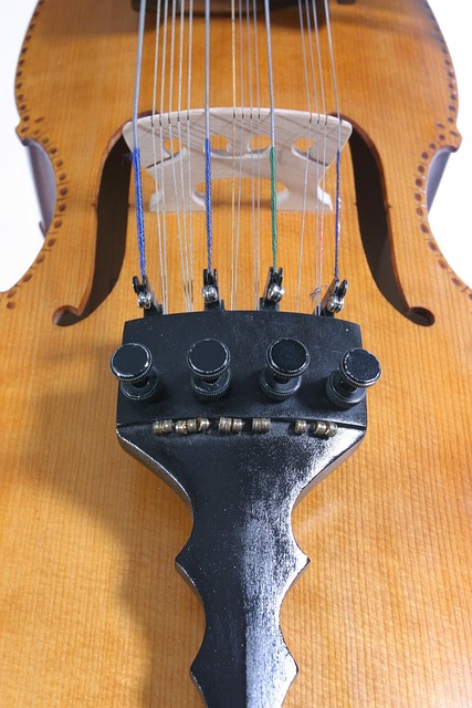 Musik, Instrument, Nyckelharpa