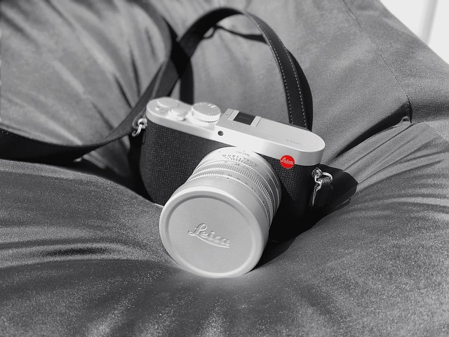 Leica, Cámara, En Blanco Y Negro, Slr