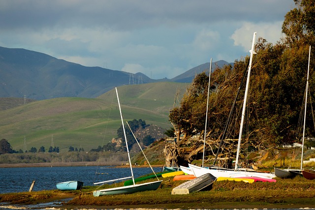 Free Morro Bay Baywood Park photo and picture