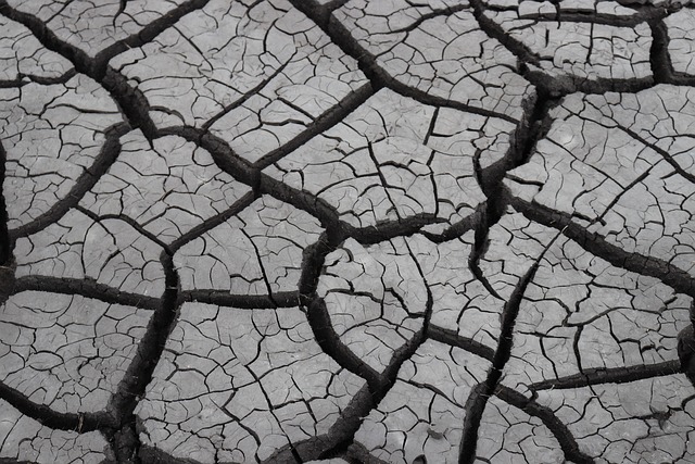 Free Mud Dried Mud photo and picture
