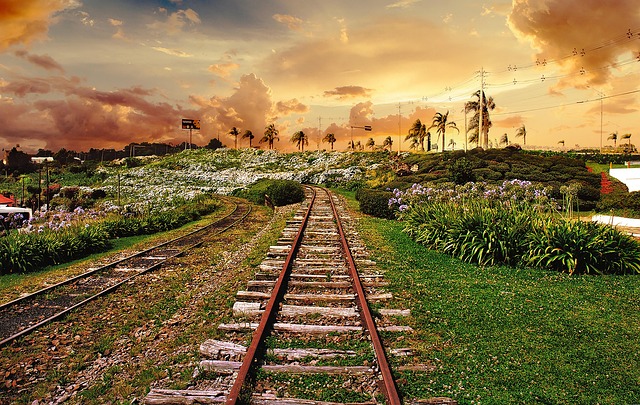 Free Railroad Train photo and picture