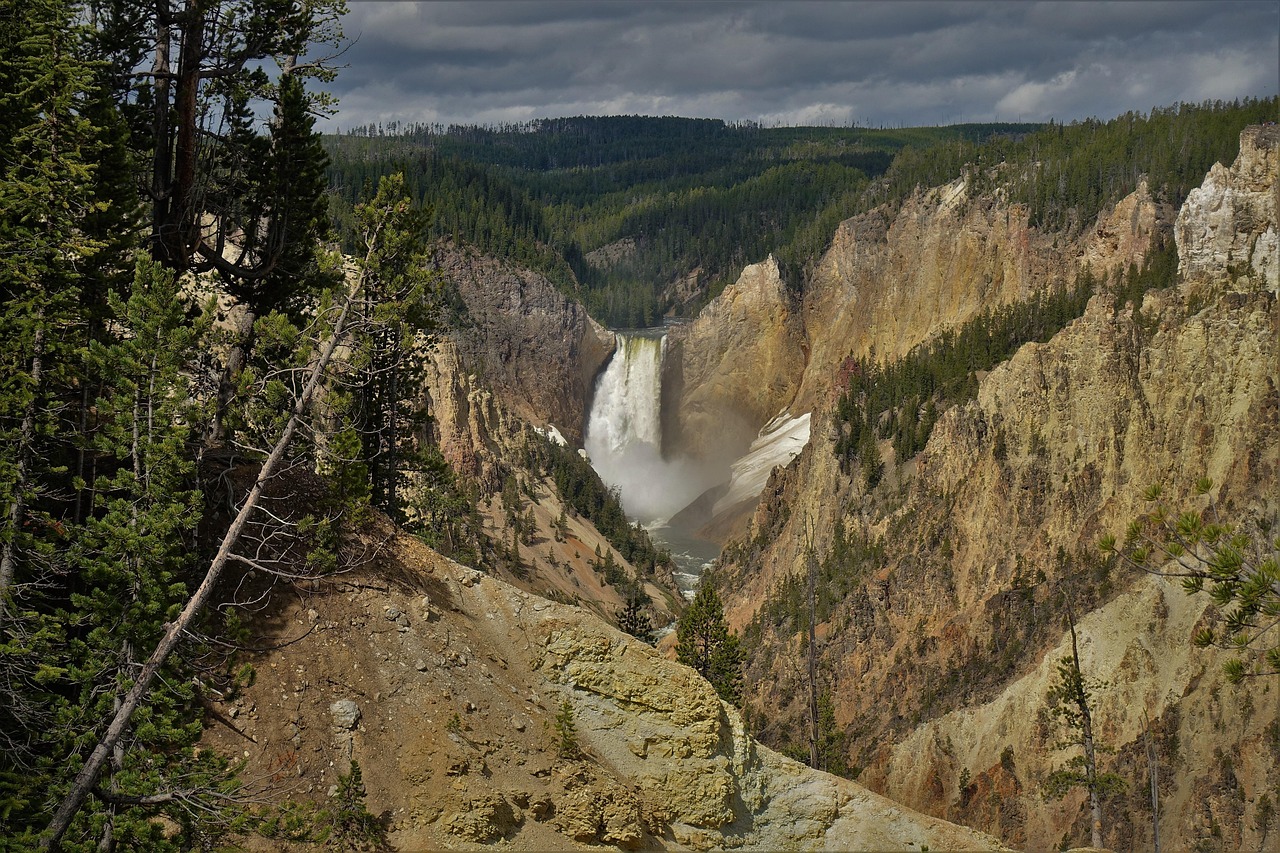 Yellowstone - free online jigsaw puzzle photo