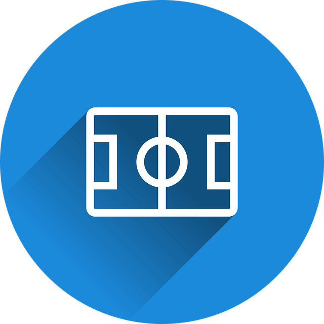 Free sports sports field soccer vector