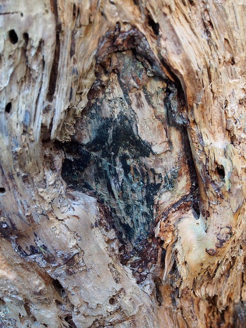 Free Form Pattern photo and picture