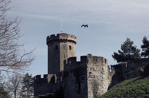 Free Castle Eagle photo and picture