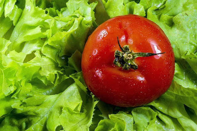 Free Tomato Lettuce photo and picture