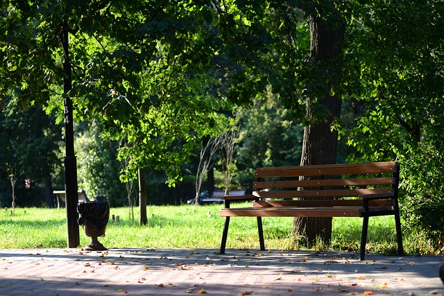 Free The Park Bench photo and picture
