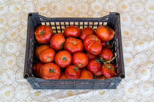 Free Agriculture Cultivate photo and picture