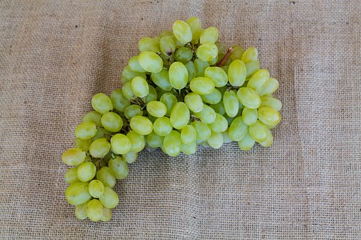 Free Grapes White photo and picture