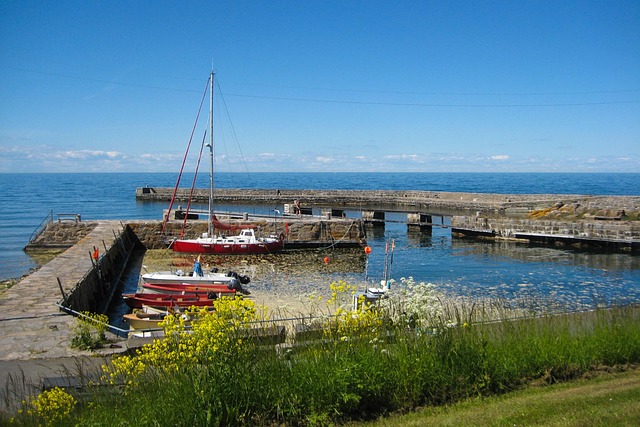 Puerto Pesquero, Barcos De Pesca, Mole