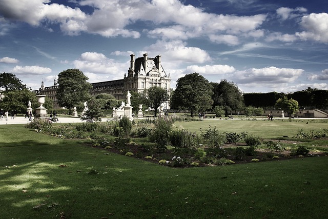 Free France Paris photo and picture