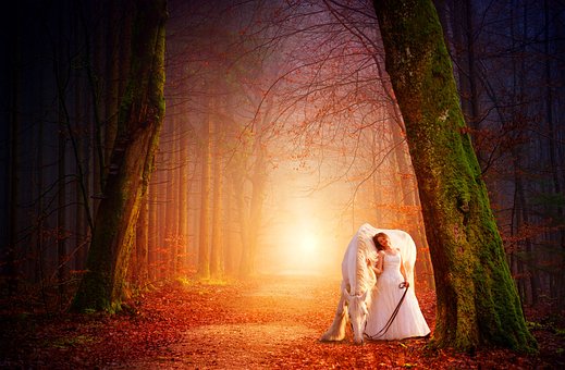 Wald, Mädchen, Frau, Bäume, Natur