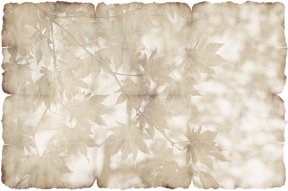 parchment paper leaves free