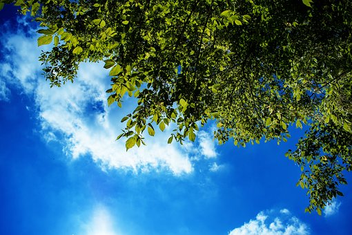 Himmel, Skyer, Natur, Vær, Blå, Grønn