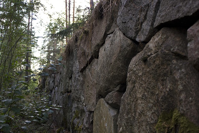 Free Stone Wall Forest photo and picture