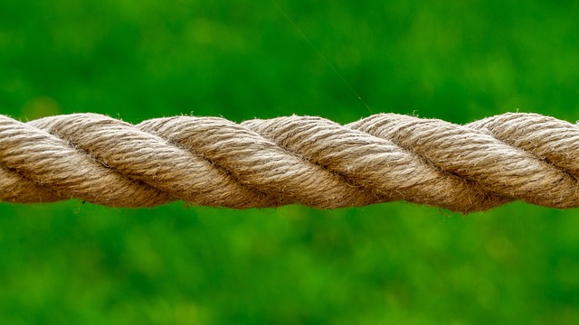 Free Rope Green photo and picture