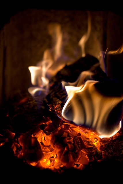 Free Fire Winter photo and picture