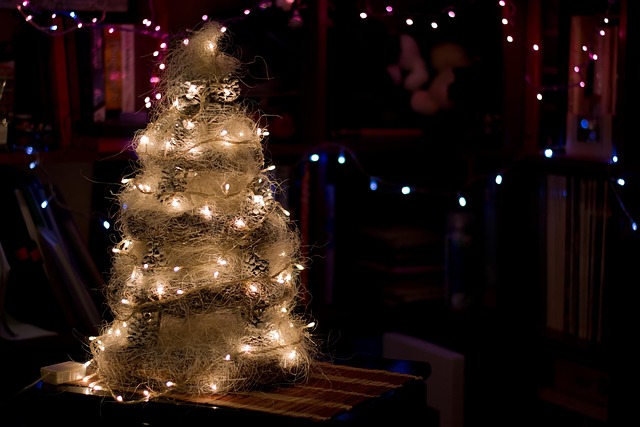 Free Christmas December photo and picture