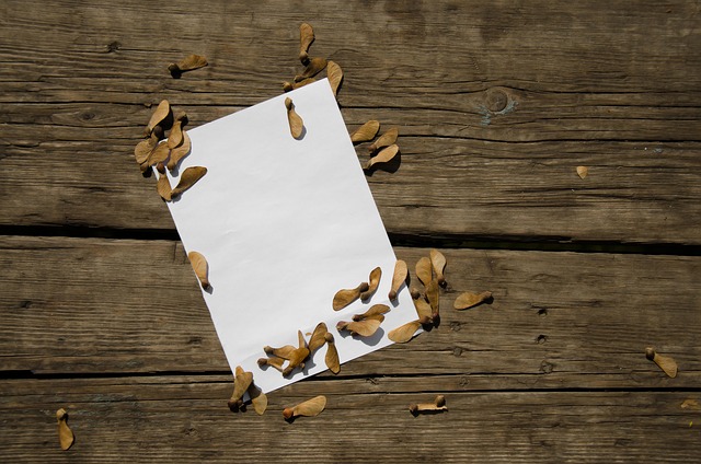 Free Paper Maple photo and picture