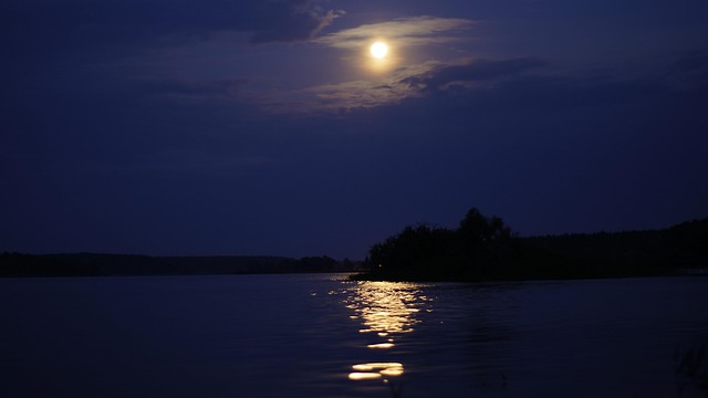 Free Fishing Water photo and picture