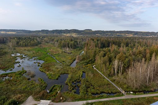 Pfrunger-Burgweiler Ried, Riedsee