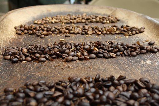 Free Coffee Bean photo and picture