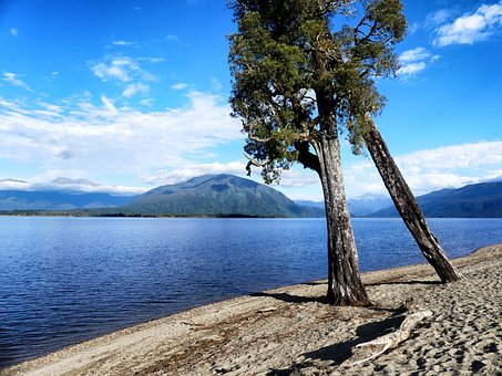 Free Lake Brunner New Zealand photo and picture